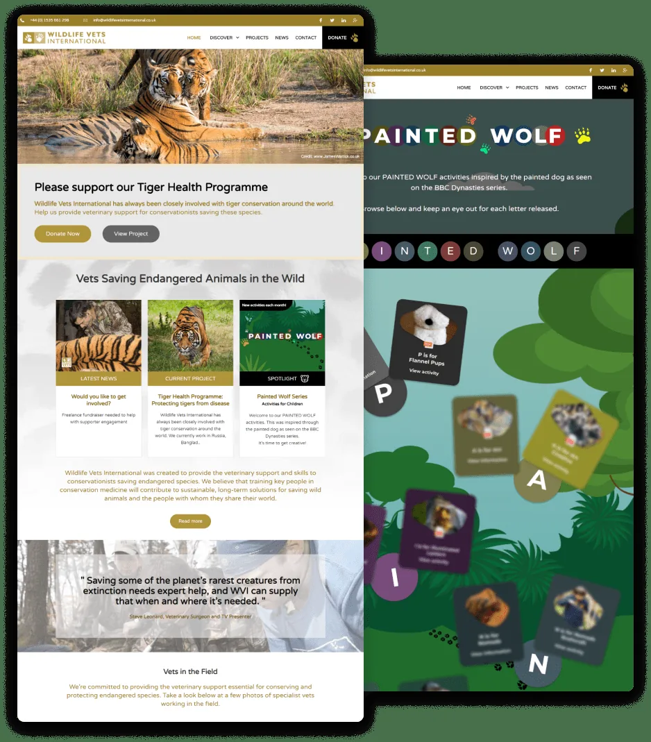 A clearer donation and content experience for Wildlife Vets International
